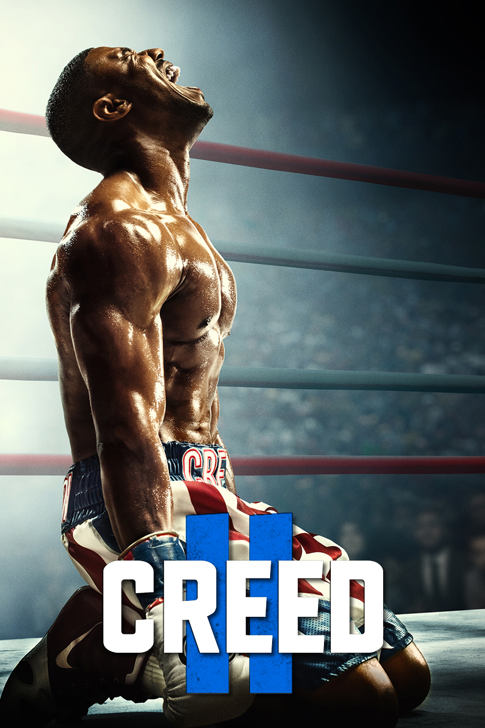 Creed II (2018) [425749] (A1736448966) [[Movies]] --Plex--